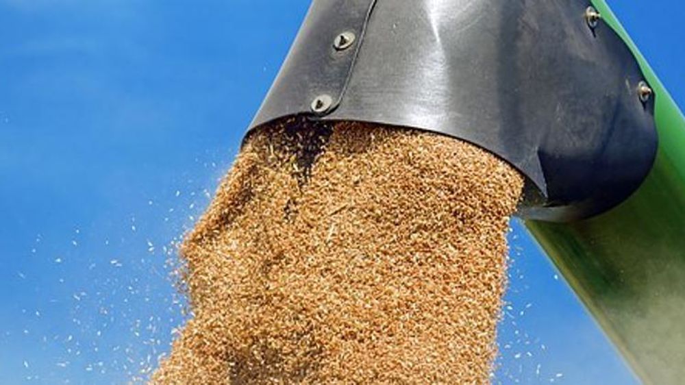 De fortes livraisons de blé au Maghreb profitent à la balance agricole française en avril 2018. © Pixabay